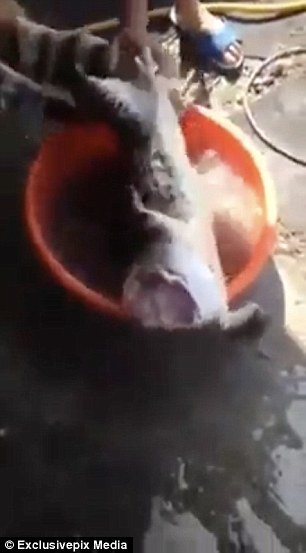 在楼道里全裸自慰