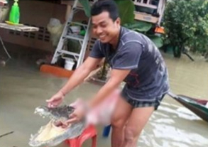 大乳boobs巨大乳水奶