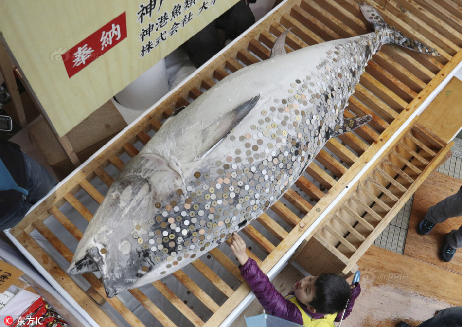 国产夫妻精品另类合集Fooxxxxxxxxx