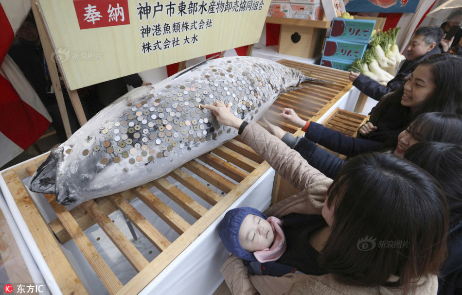 女生隐私免费看