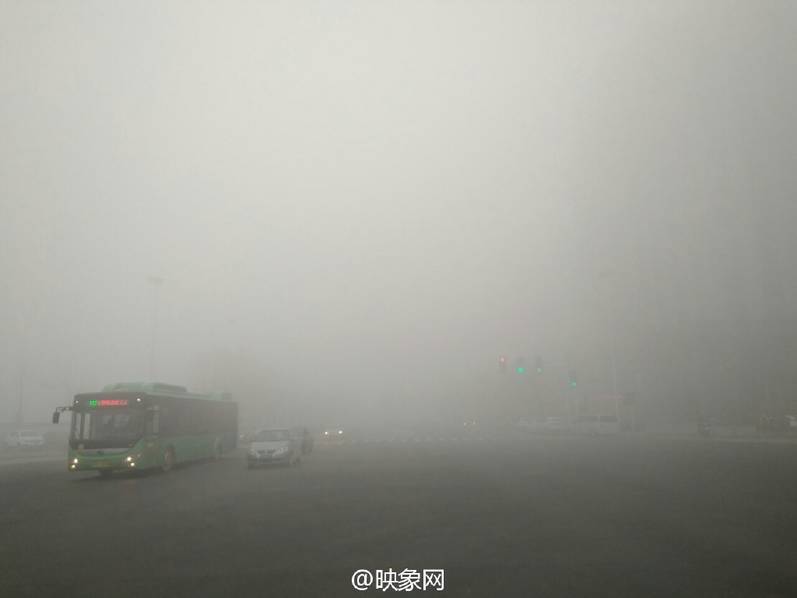 性XXXX欧美老妇毛太多胡秀英