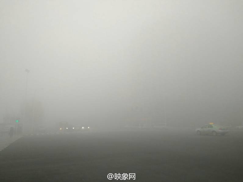 阴桃直播