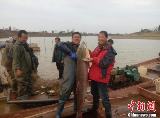 综合婷婷