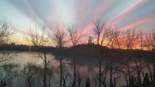 黄色网络网址