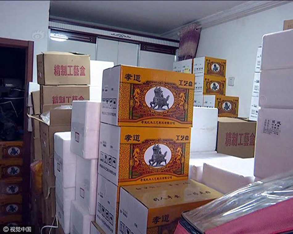 免费操逼视频软件
