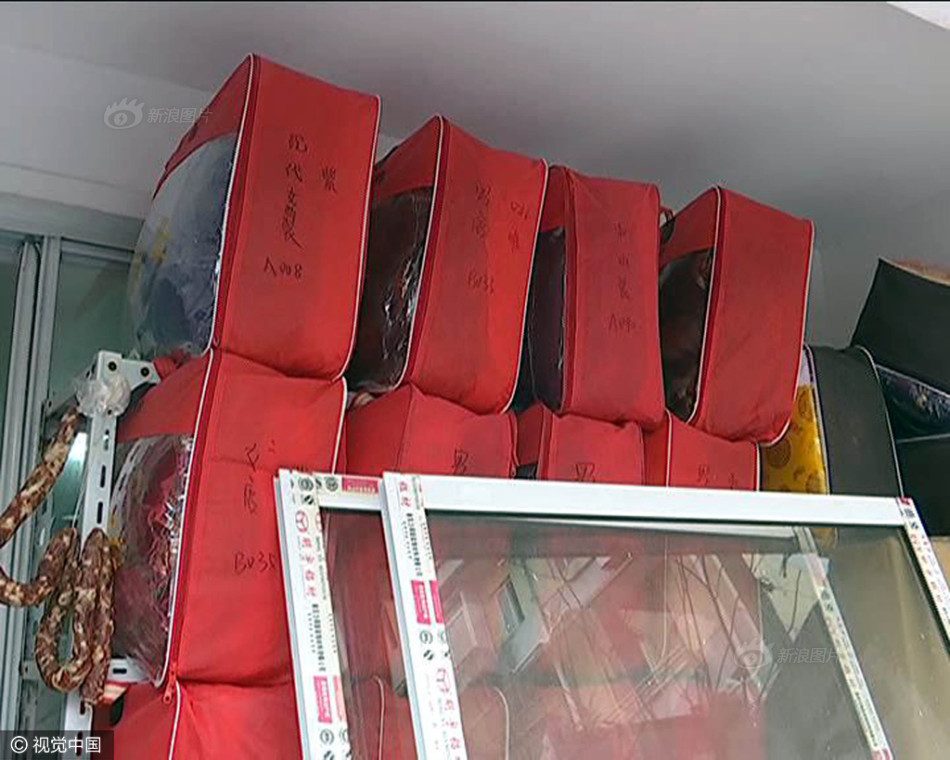 白丝校花被 狂揉大胸照片