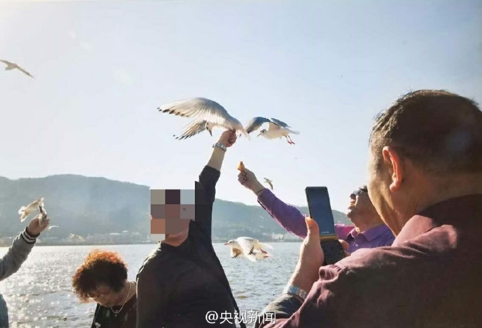 美国黄色免费