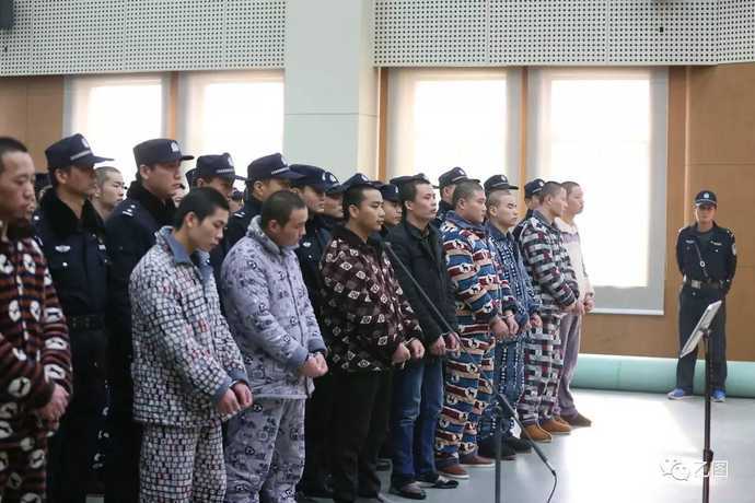 爸爸叫我cai妈妈小新是哪里人