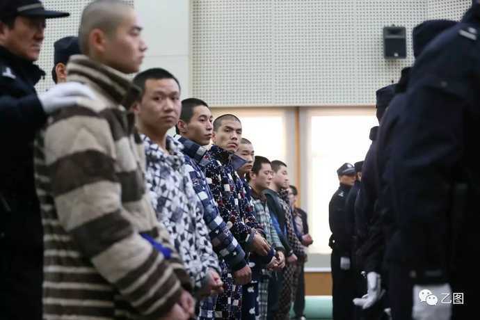 蝌蚪窝一个释放