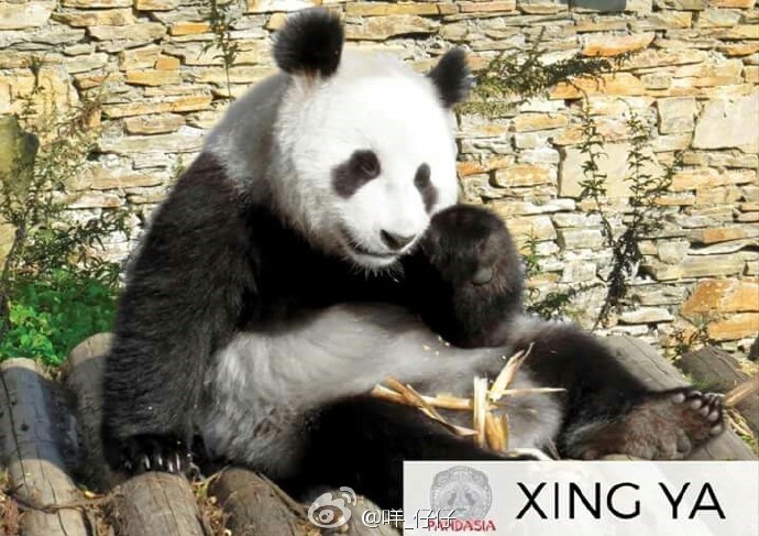 不倫戀
