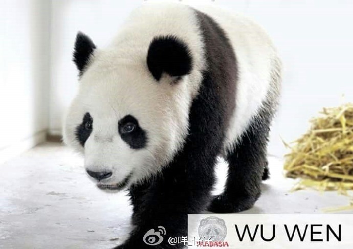 技巧性爱电影Hd