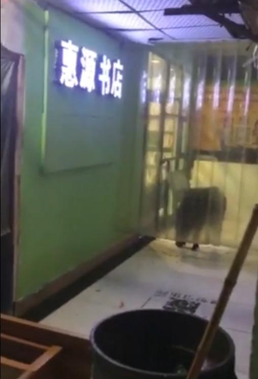 国外肥婆日B