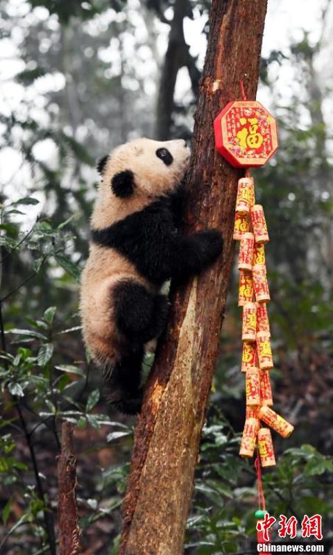 中国家庭乱伦视频