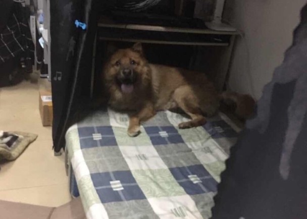 免费看肏逼视频
