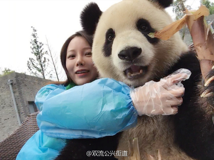 黑木明紗