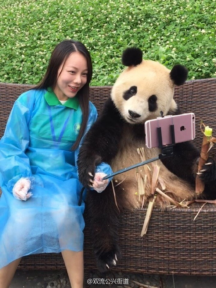 国产 成人 影片