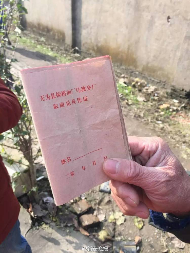 胖女人挨操