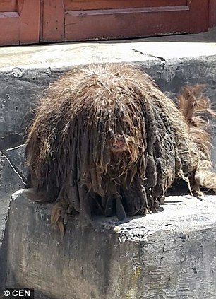 户外工地勾搭老头啪啪