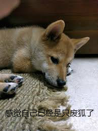 日韩乱伦大杂烩