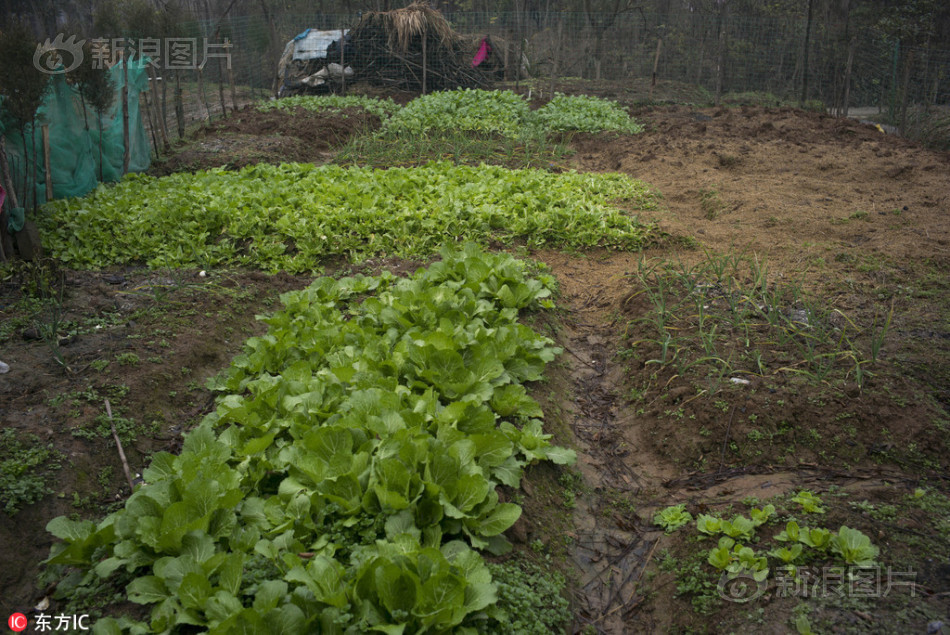宝贝腿开大点我添添你下边美国