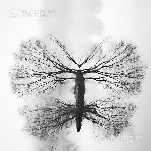 成人 线 上 电影