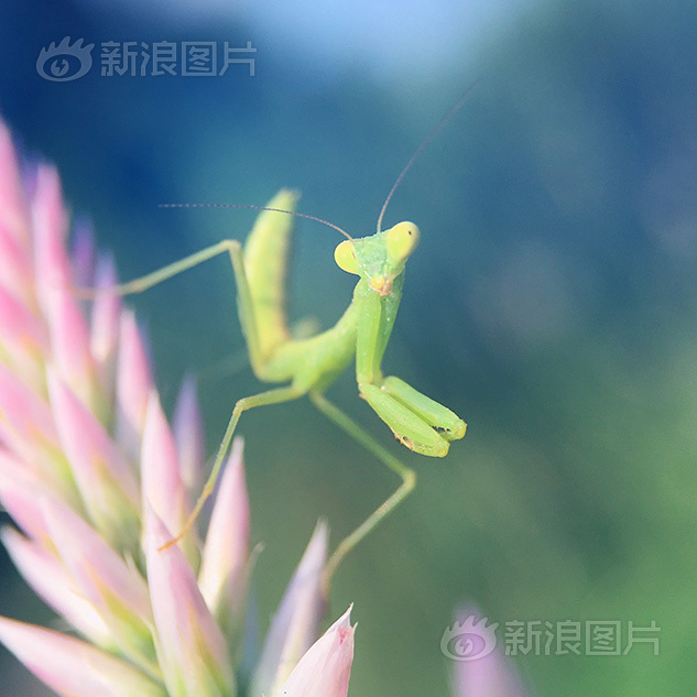 毛片电影