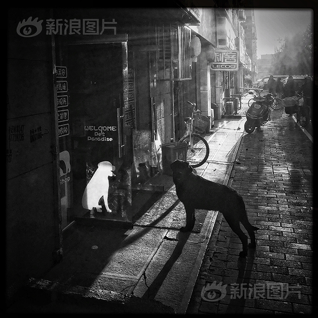 麻豆导航