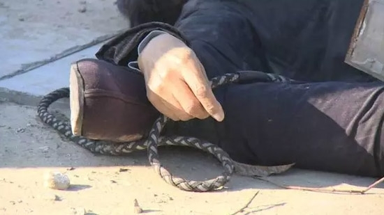 六十岁老熟妇淫乱视频