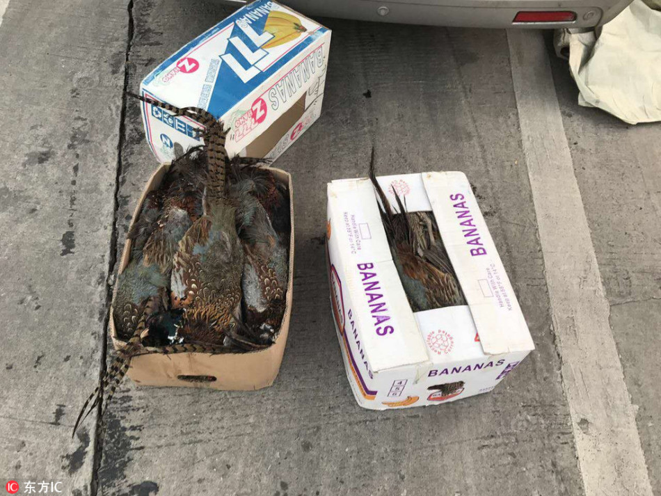 动漫女被   喷水