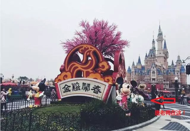 姊夫