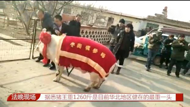 操逼黄片黄片