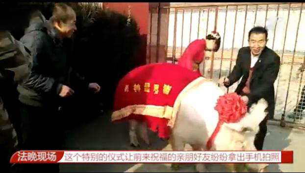 赵丽颖爽到高潮嗷嗷叫流水