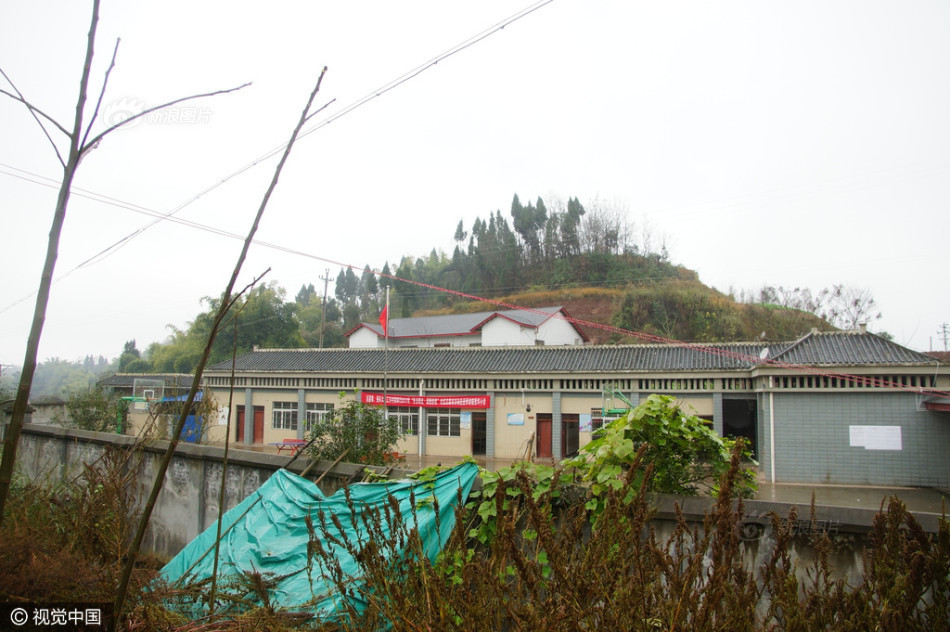 杨幂裸被?视频无码网站