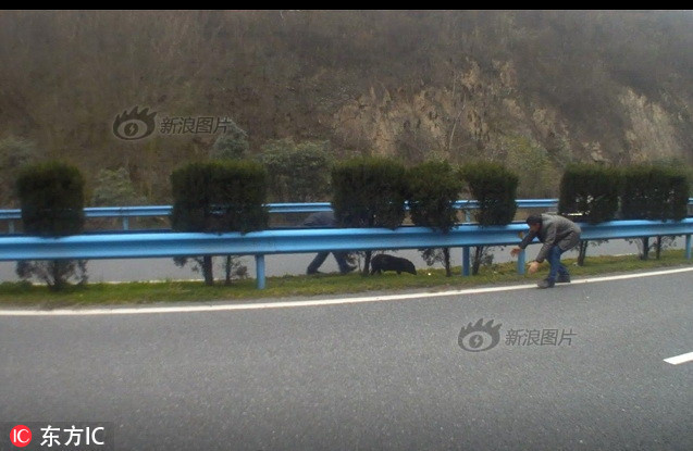 大肥婆曰逼Hd