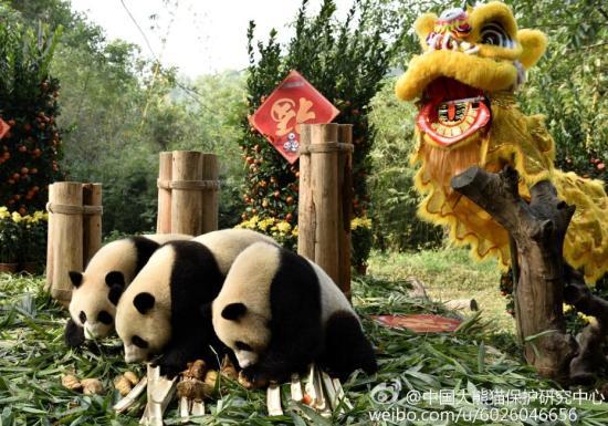 中国东北妇女BBBBBB