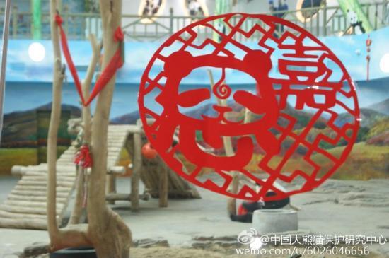 禁久久精品乱码