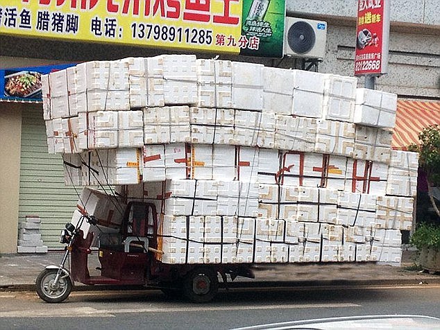 情侣性生活电影Hd