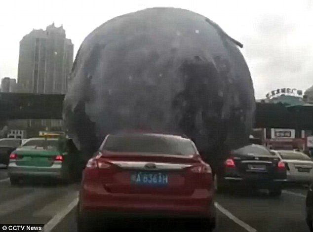 久久精选视频