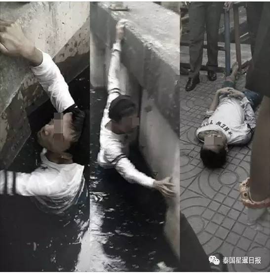 情熱大陸