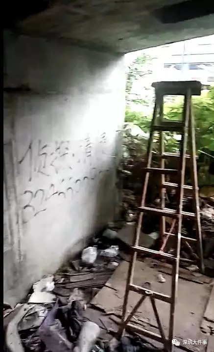美国一级A级黄免