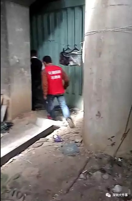 鲍鱼视频