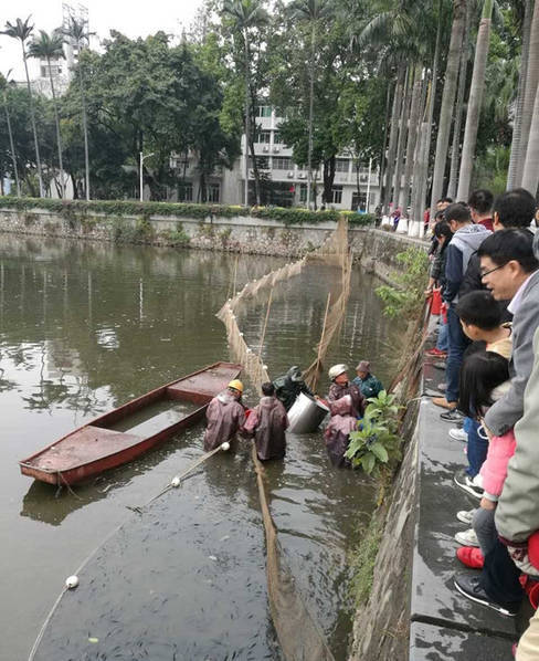 婷婷天堂