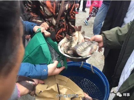 5O岁老女人A级黄片