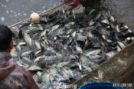 家庭乱伦性爱电影