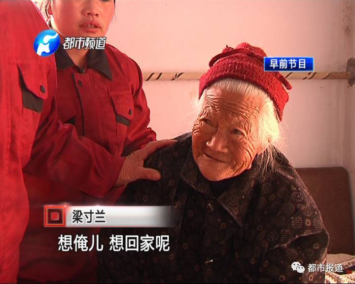 龍澤