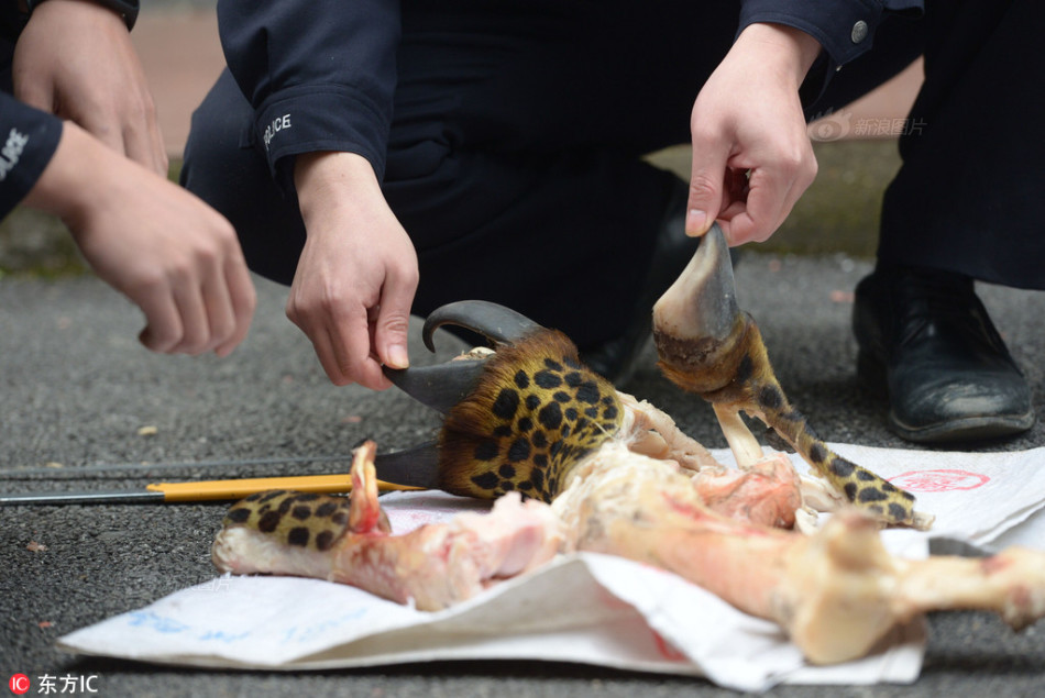 無料案內所