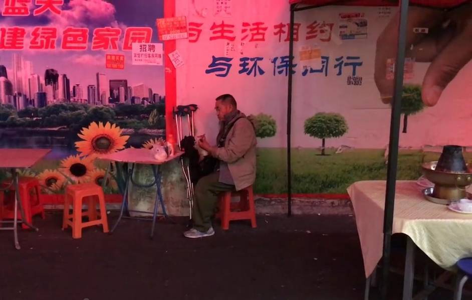 免费 色情 网