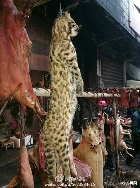 自己口爆