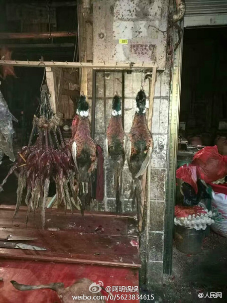 亚洲无 码A片在线观看