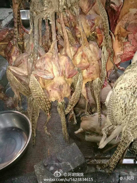 乡下人操逼视频